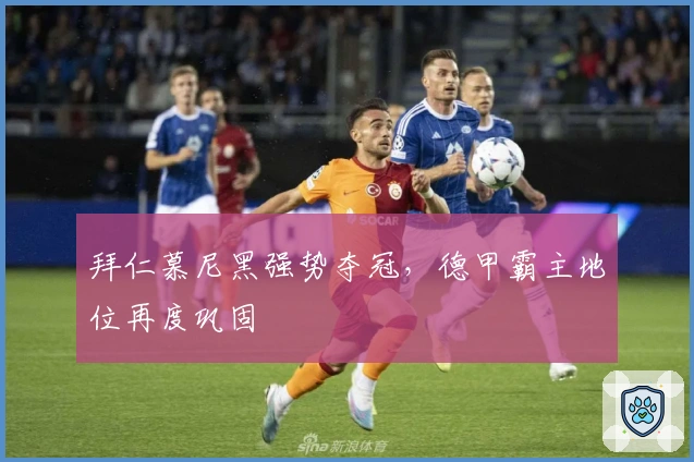 拜仁慕尼黑强势夺冠，德甲霸主地位再度巩固