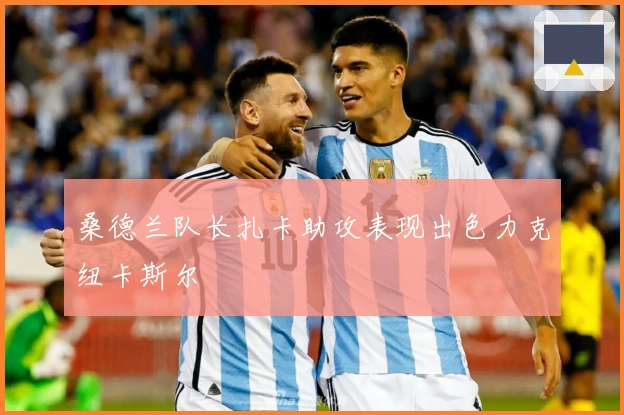 桑德兰队长扎卡助攻表现出色力克纽卡斯尔