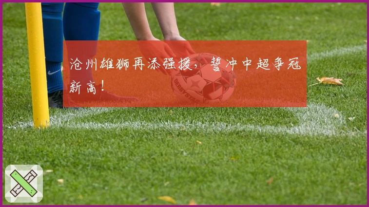 沧州雄狮再添强援，誓冲中超争冠新高！